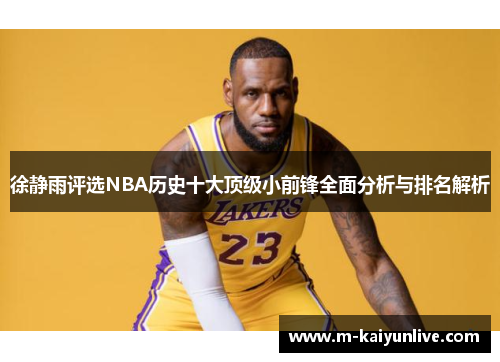 徐静雨评选NBA历史十大顶级小前锋全面分析与排名解析