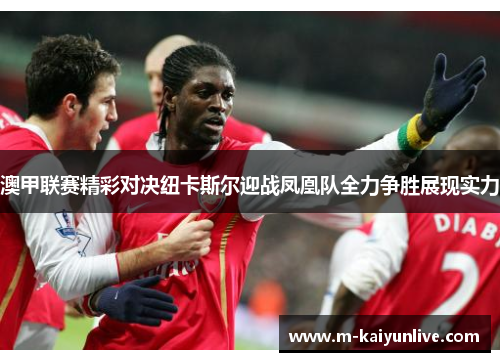 澳甲联赛精彩对决纽卡斯尔迎战凤凰队全力争胜展现实力